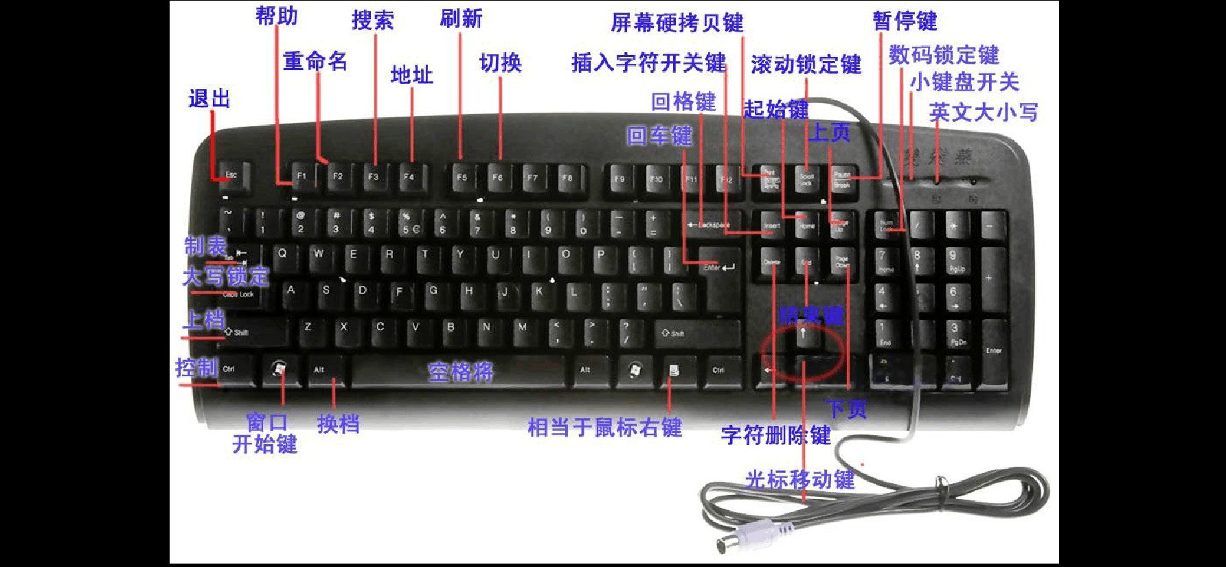 新客户端改键关于职业暴露的ppt