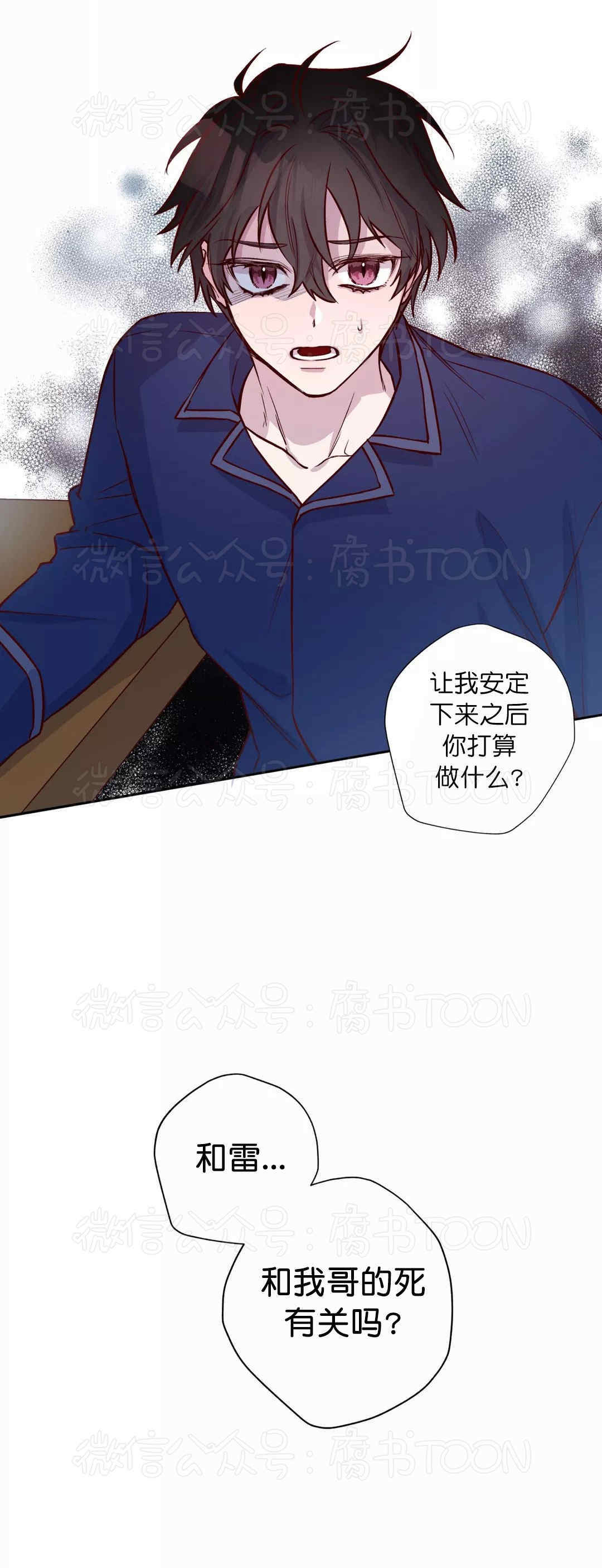 雷漫画苹果版雷电圈苹果版下载