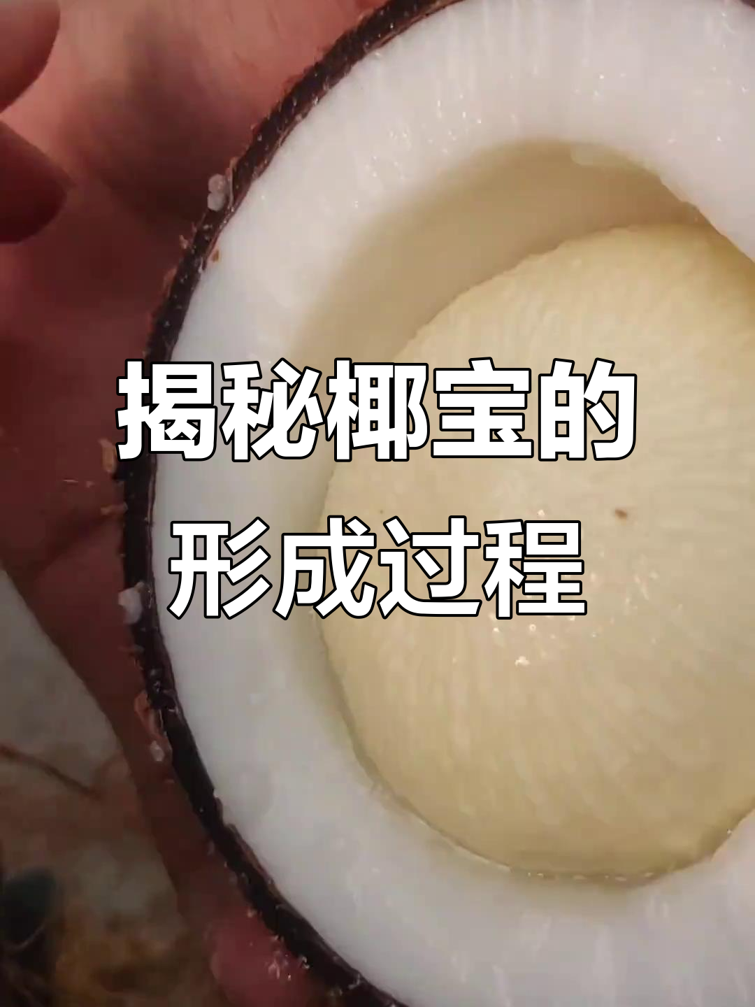 椰子宝苹果版椰子水公司赴港ipo-第1张图片-太平洋在线下载