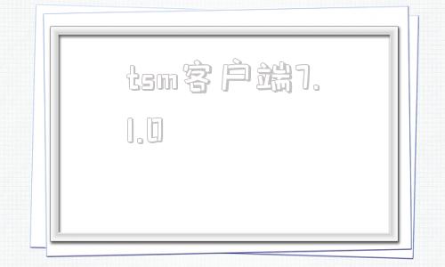 tsm客户端7.1.019216811客户端下载